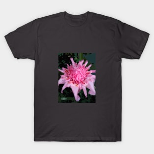 Pink Torch Ginger T-Shirt